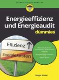 Weber |  Energieeffizienz und Energieaudit für Dummies | Buch |  Sack Fachmedien