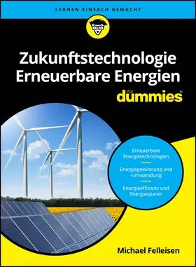 Felleisen |  Zukunftstechnologie Erneuerbare Energien für Dummies | Buch |  Sack Fachmedien