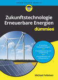 Felleisen |  Zukunftstechnologie Erneuerbare Energien für Dummies | Buch |  Sack Fachmedien