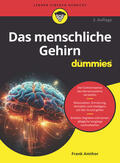 Amthor |  Das menschliche Gehirn für Dummies | Buch |  Sack Fachmedien