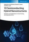 Kumar / Aswal / Joshi |  1D Semiconducting Hybrid Nanostructures | eBook | Sack Fachmedien