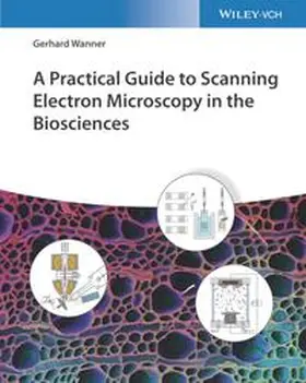 Wanner | A Practical Guide to Scanning Electron Microscopy in the Biosciences | E-Book | sack.de