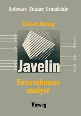 Hering |  Unternehmensanalyse mit Javelin | Buch |  Sack Fachmedien