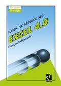 Schneiderlöchner |  Excel 4.0 | Buch |  Sack Fachmedien