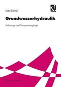  Grundwasserhydraulik | Buch |  Sack Fachmedien