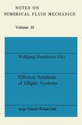 Hackbusch |  Hackbusch, W: Efficient Solutions of Elliptic Systems | Buch |  Sack Fachmedien
