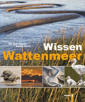 Wilhelmsen / Stock |  Wissen Wattenmeer | Buch |  Sack Fachmedien
