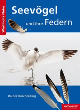 Borcherding |  Seevögel und ihre Federn | Buch |  Sack Fachmedien