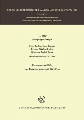 Kremer |  Kremer, H: Flammenstabilität bei Gasbrennern mit Gebläse | Buch |  Sack Fachmedien