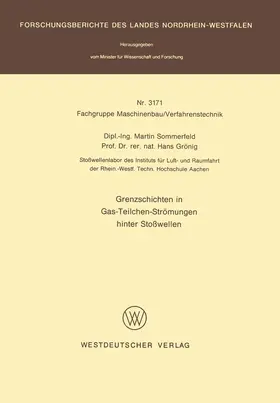 Sommerfeld |  Grenzschichten in Gas-Teilchen-Strömungen hinter Stoßwellen | Buch |  Sack Fachmedien