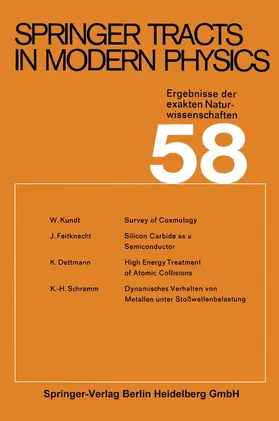 Bingen |  Le Papyrus Revenue Laws - Tradition grecque et Adaptation hellénistique | Buch |  Sack Fachmedien