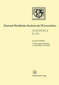 Stern |  Stern, K: Verfassungsgerichtsbarkeit zwischen Recht und Poli | Buch |  Sack Fachmedien