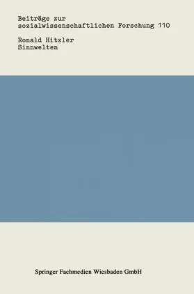 Hitzler |  Sinnwelten | Buch |  Sack Fachmedien