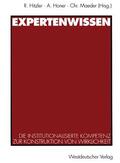 Hitzler |  Expertenwissen | Buch |  Sack Fachmedien