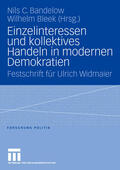 Bandelow / Bleek |  Einzelinteressen und kollektives Handeln in modernen Demokra | Buch |  Sack Fachmedien