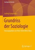 Gumplowicz / Merz-Benz |  Grundriss der Soziologie | Buch |  Sack Fachmedien