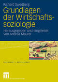 Swedberg / Maurer |  Swedberg, R: Grundlagen der Wirtschaftssoziologie | Buch |  Sack Fachmedien