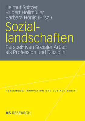 Spitzer / Höllmüller / Hönig | Soziallandschaften | Buch | 978-3-531-17600-0 | sack.de