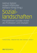 Spitzer / Höllmüller / Hönig |  Soziallandschaften | Buch |  Sack Fachmedien