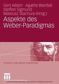 Albert / Bienfait / Stachura |  Aspekte des Weber-Paradigmas | eBook | Sack Fachmedien