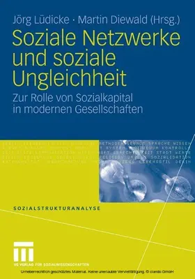 Lüdicke / Diewald |  Soziale Netzwerke und soziale Ungleichheit | eBook | Sack Fachmedien
