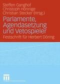 Ganghof / Hönnige / Honnige |  Parlamente, Agendasetzung und Vetospieler | eBook | Sack Fachmedien