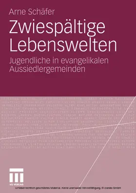 Schäfer | Zwiespältige Lebenswelten | E-Book | sack.de