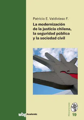 Valdivieso F. |  La modernización de la justicia Chilena la seguridad pûblica y la sociedad civil | Buch |  Sack Fachmedien