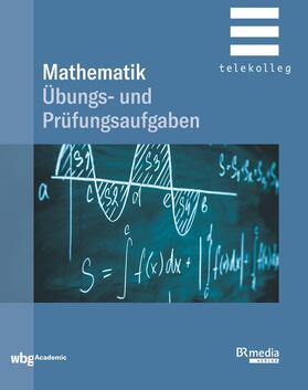 Dillinger | Prüfungsaufgaben Mathematik | Buch | 978-3-534-45042-8 | sack.de