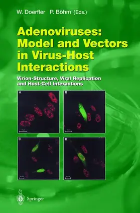 Böhm / Doerfler |  Adenoviruses: Model and Vectors in Virus-Host Interactions | Buch |  Sack Fachmedien