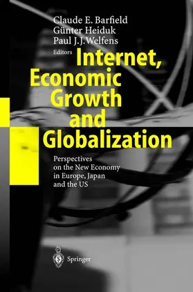 Barfield / Welfens / Heiduk |  Internet, Economic Growth and Globalization | Buch |  Sack Fachmedien