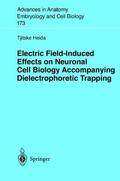 Heida |  Electric Field-Induced Effects on Neuronal Cell Biology Accompanying Dielectrophoretic Trapping | Buch |  Sack Fachmedien