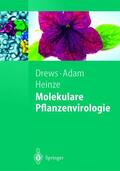 Drews / Heinze / Adam |  Molekulare Pflanzenvirologie | Buch |  Sack Fachmedien