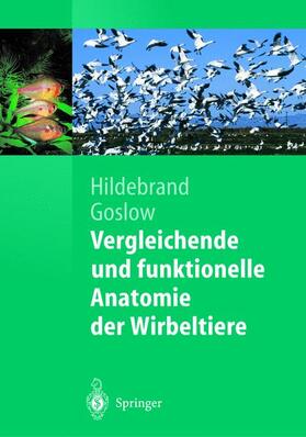 Hildebrand / Goslow |  Vergleichende und funktionelle Anatomie der Wirbeltiere | Buch |  Sack Fachmedien