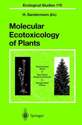 Sandermann | Molecular Ecotoxicology of Plants | Buch | 978-3-540-00952-8 | sack.de