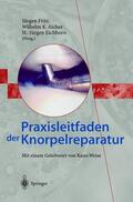 Fritz / Eichhorn / Aicher |  Praxisleitfaden der Knorpelreparatur | Buch |  Sack Fachmedien