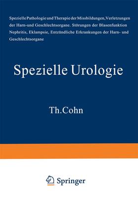 Lichtenberg / Wildbolz / Voelcker | Handbuch der Urologie | Buch | 978-3-540-01076-0 | sack.de