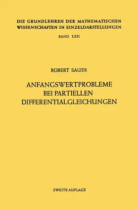 Sauer |  Anfangswertprobleme bei Partiellen Differentialgleichungen | Buch |  Sack Fachmedien