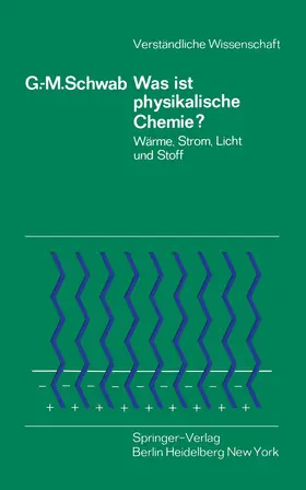 Schwab |  Was ist physikalische Chemie? | Buch |  Sack Fachmedien