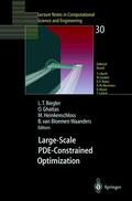 Biegler / van Bloemen Waanders / Ghattas |  Large-Scale PDE-Constrained Optimization | Buch |  Sack Fachmedien