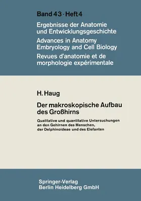 Haug |  Der makroskopische Aufbau des Großhirns | Buch |  Sack Fachmedien