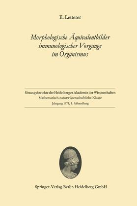 Letterer | Morphologische Äquivalentbilder immunologischer Vorgänge im Organismus | Buch | 978-3-540-05350-7 | sack.de