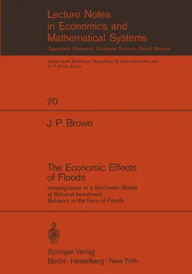Brown |  The Economic Effects of Floods | Buch |  Sack Fachmedien