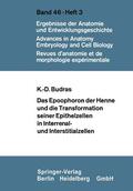 Budras |  Das Epoophoron der Henne und die Transformation seiner Epithelzellen in Interrenal- und Interstitialzellen | Buch |  Sack Fachmedien