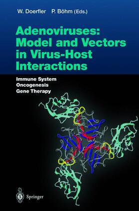 Böhm / Doerfler | Adenoviruses: Model and Vectors in Virus-Host Interactions | Buch | 978-3-540-06851-8 | sack.de