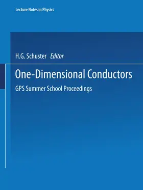 Schuster |  One-Dimensional Conductors | Buch |  Sack Fachmedien