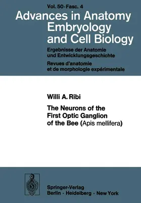 Ribi |  The Neurons of the First Optic Ganglion of the Bee (Apis mellifera) | Buch |  Sack Fachmedien