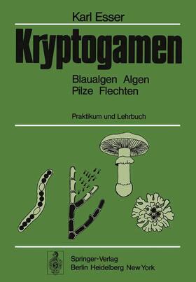 Esser | Kryptogamen | Buch | 978-3-540-07638-4 | sack.de