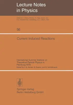 Körner / Kramer / Schildknecht |  Current Induced Reactions | Buch |  Sack Fachmedien