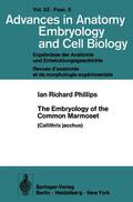 Phillips |  The Embryology of the Common Marmoset | Buch |  Sack Fachmedien